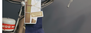 Gamme bambou invisibles sur un solex